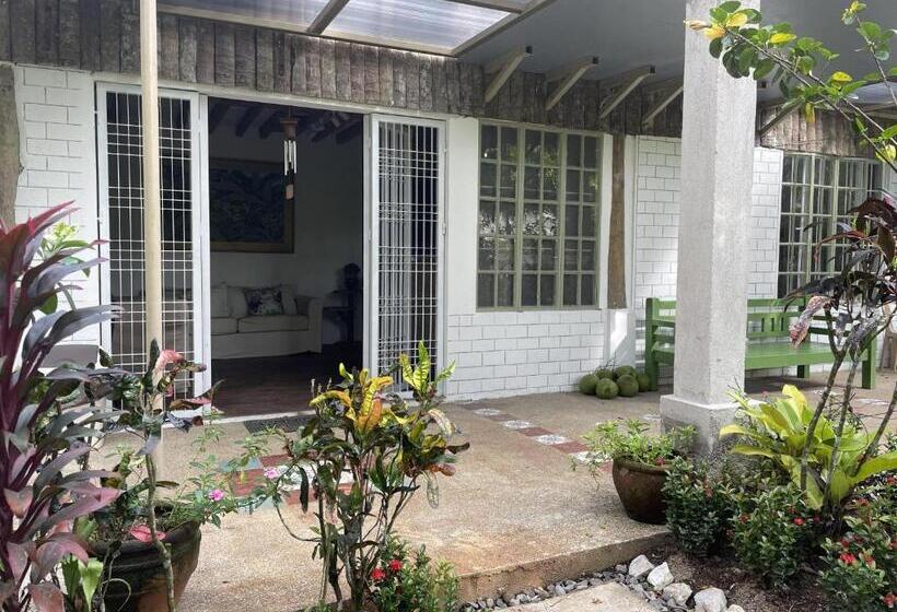 住宿加早餐  Mayas Nest