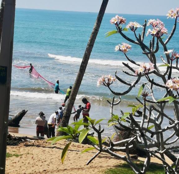 住宿加早餐  Thoduwawa Beach Villa