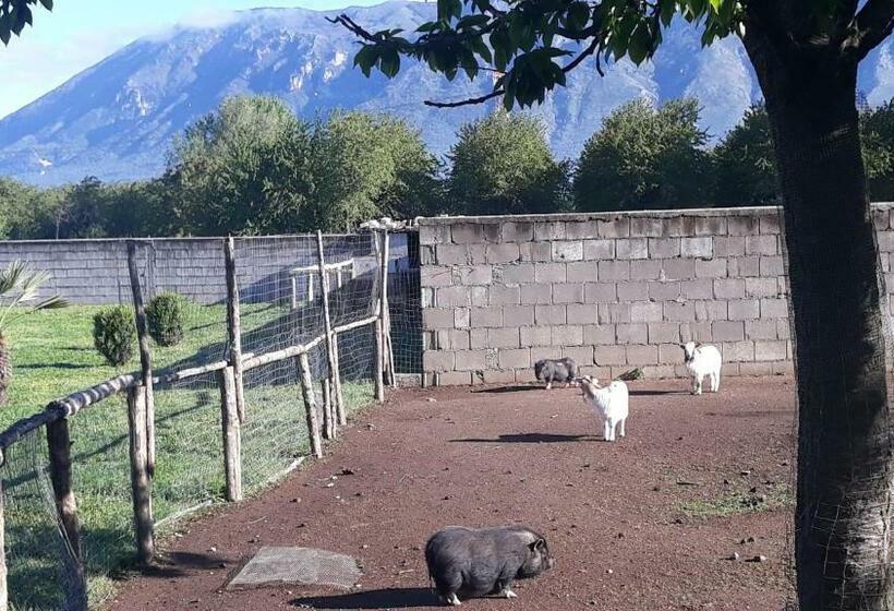 בית מלון כפרי Agriturismo Carlo Cioffi