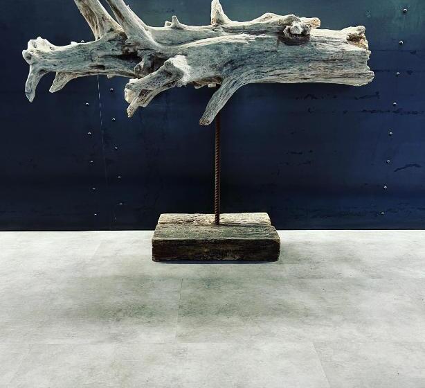 ホテル Albergo Wellness Da Febo