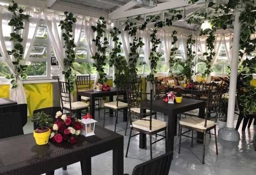 هتل Casa Bicolandia Suites