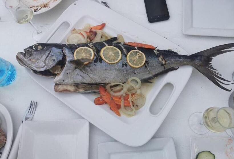 בית מלון כפרי Dream