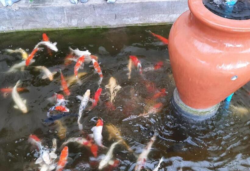 Hotel Fancy Carp Resort Hua Hin