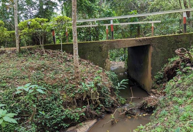 בית מלון כפרי Lushoto Executive Lodge