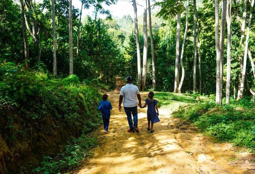 فندق Lushoto Executive Lodge