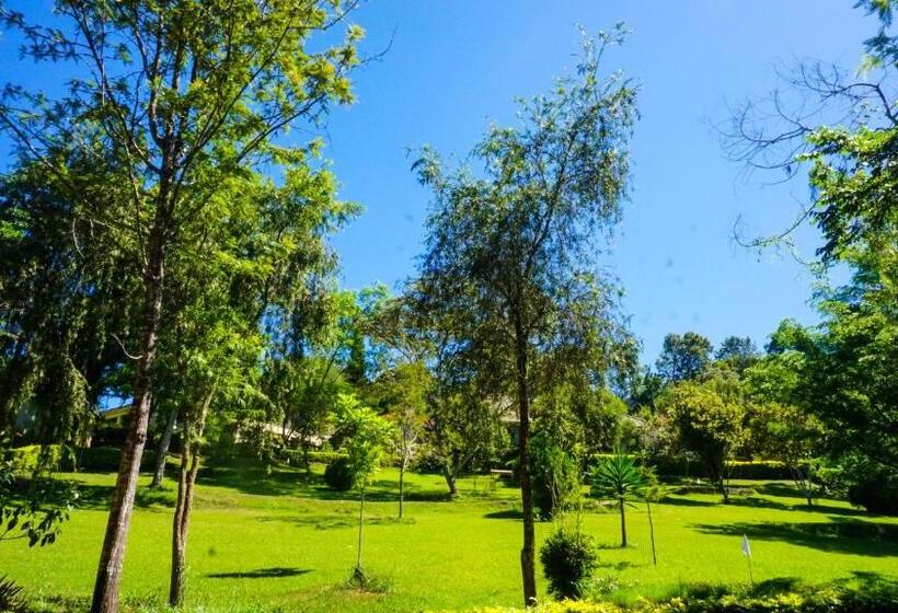 בית מלון כפרי Lushoto Executive Lodge