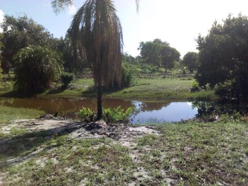 فندق Mangrove Blue Waves Bungalows