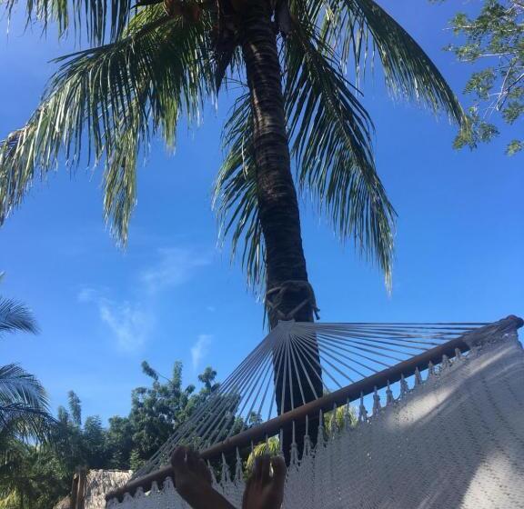 فندق Monoloko Lodge Popoyo