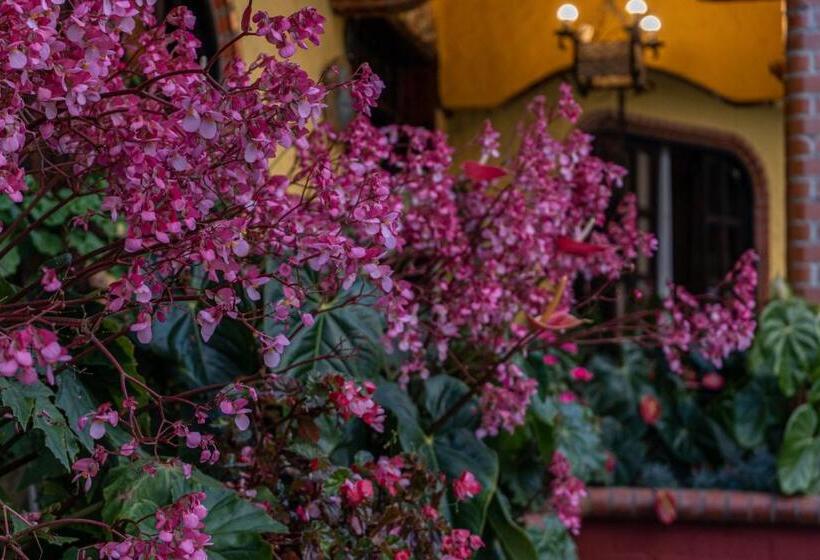 酒店 Osadia Ventura