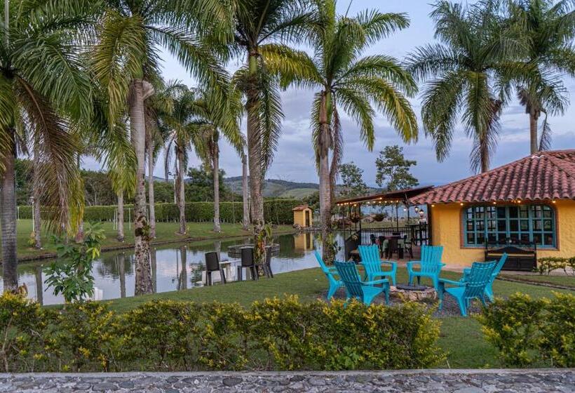 酒店 Osadia Ventura