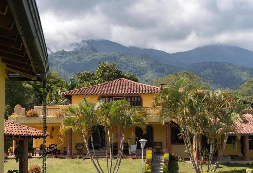 酒店 Osadia Ventura