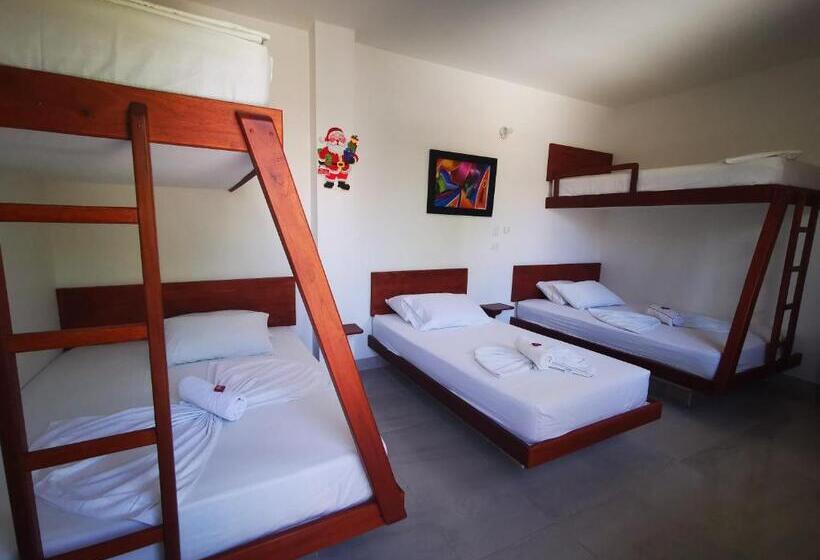 Отель Paraiso Plaza