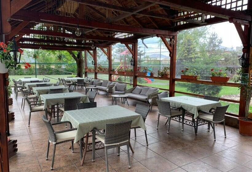 هتل Pensiune Restaurant Rustic Rm Sarat