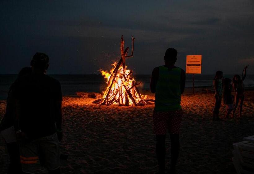 ホテル Playa Caracol Residences