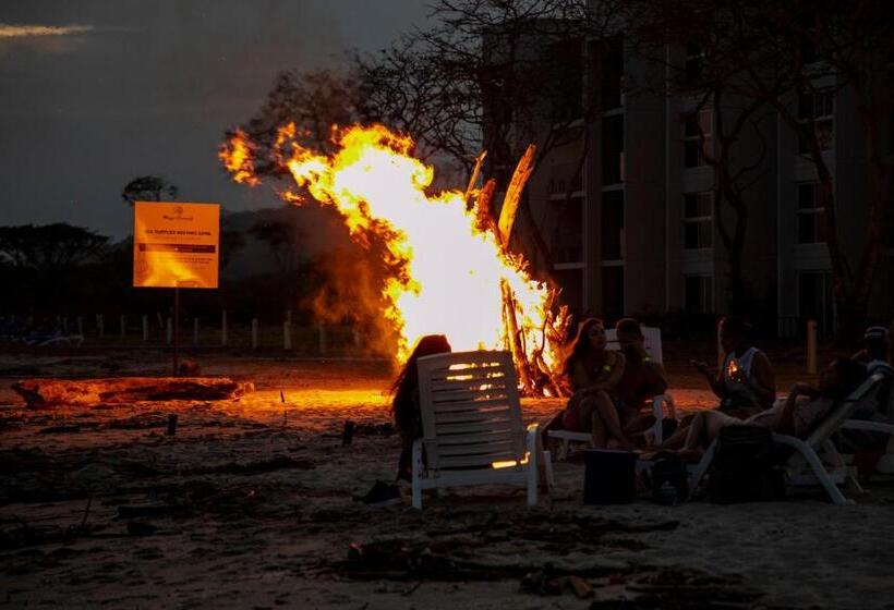 ホテル Playa Caracol Residences