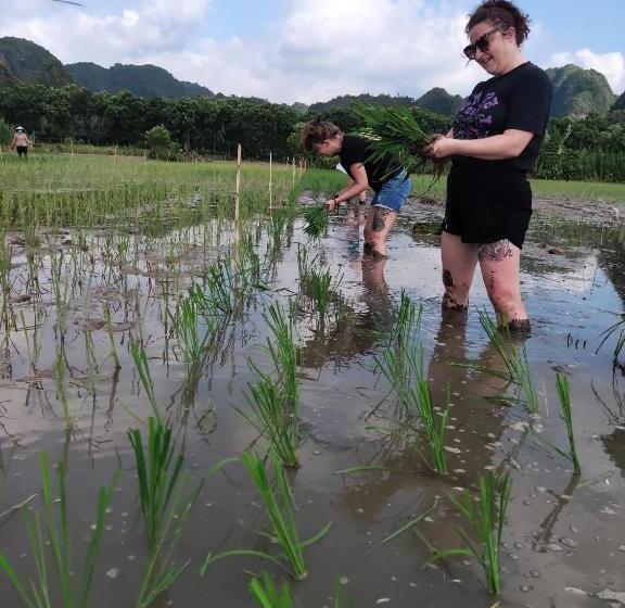 هتل Tam Coc Lotus Flower Homestay