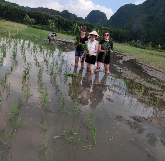 هتل Tam Coc Lotus Flower Homestay