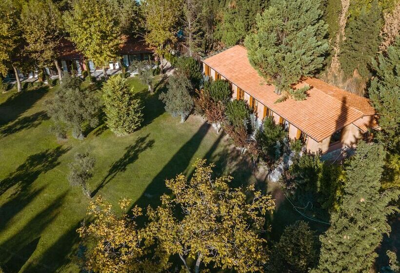 فندق The Lake House