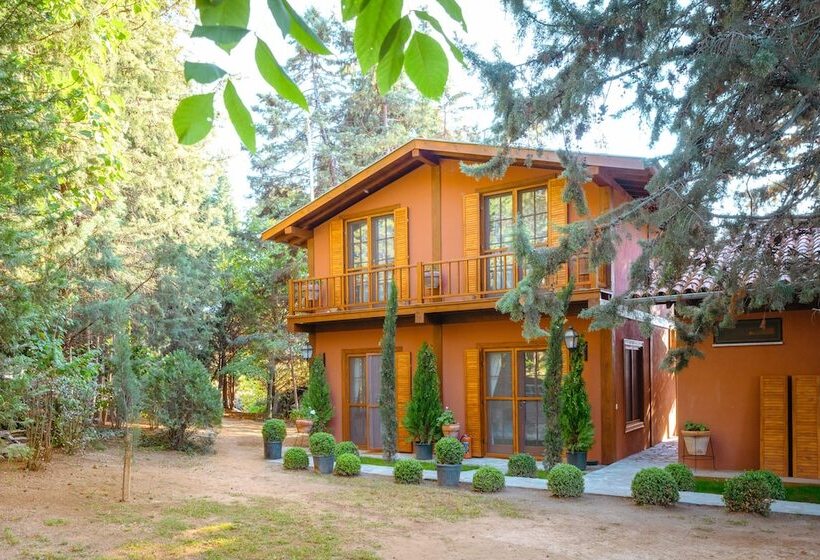 فندق The Lake House