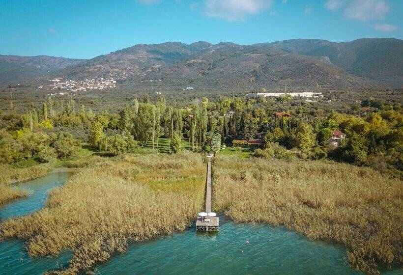 فندق The Lake House