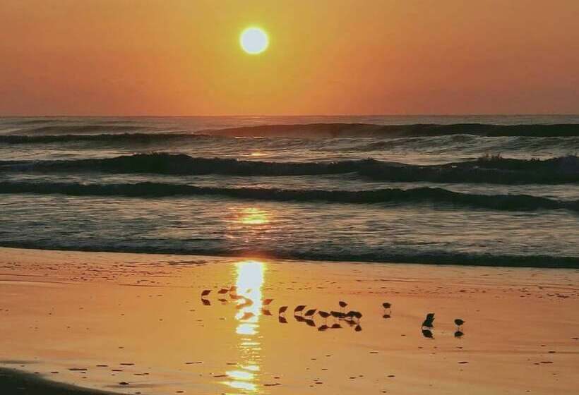 Narita Airport Samurai Hostel