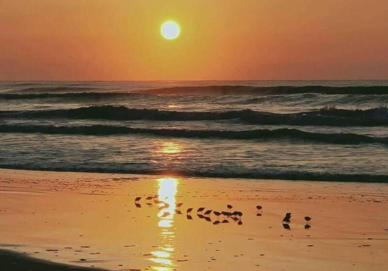 Narita Airport Samurai Hostel