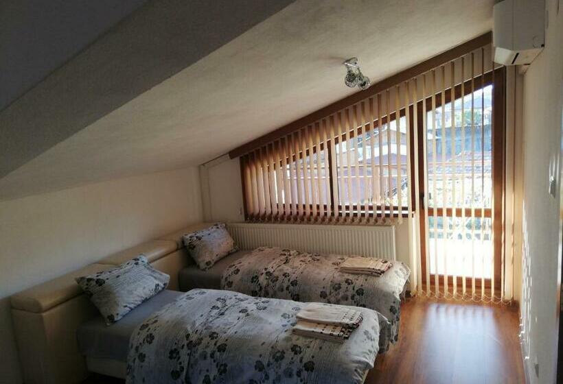 膳宿费 стаи за гости диневи