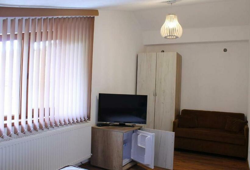 膳宿费 стаи за гости диневи