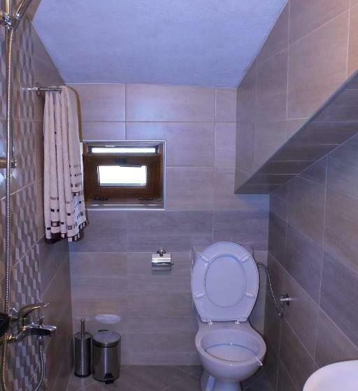 膳宿费 стаи за гости диневи