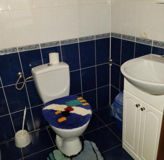 پانسیون у ірини