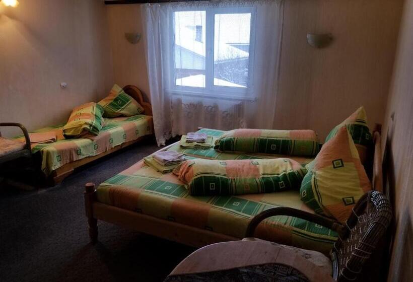 پانسیون у ірини