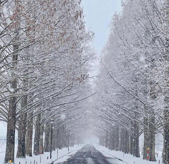 Pensiune 1組限定ドッグフレンドリー&イギリス料理 Laughing Dogs Villa