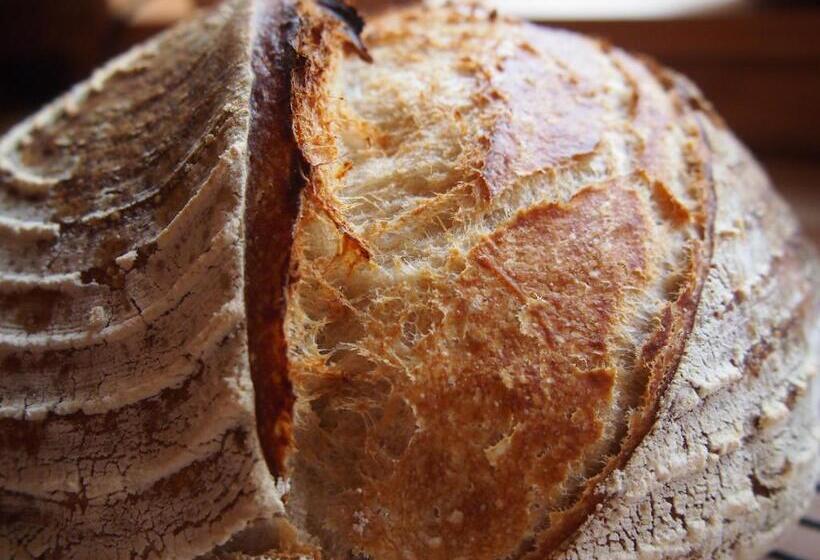 Pensiune 1組限定ドッグフレンドリー&イギリス料理 Laughing Dogs Villa