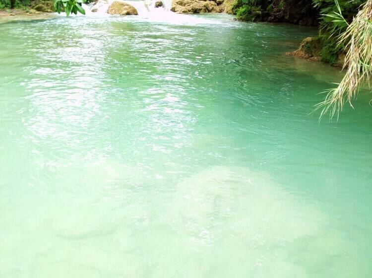 펜션 Room In Cabin   Cozy Sierraverde Cabins Cabana La Ceiba