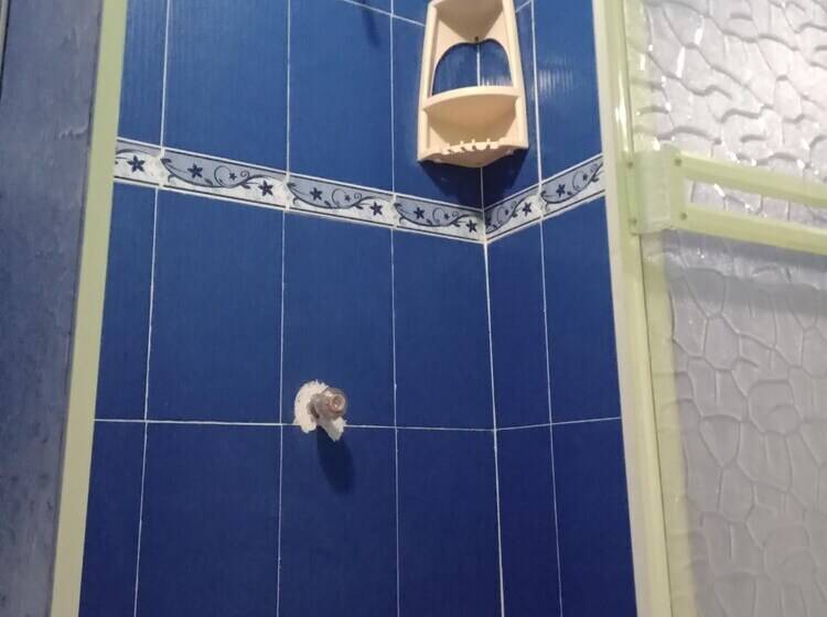 ペンション Posada Green Sea San Luis