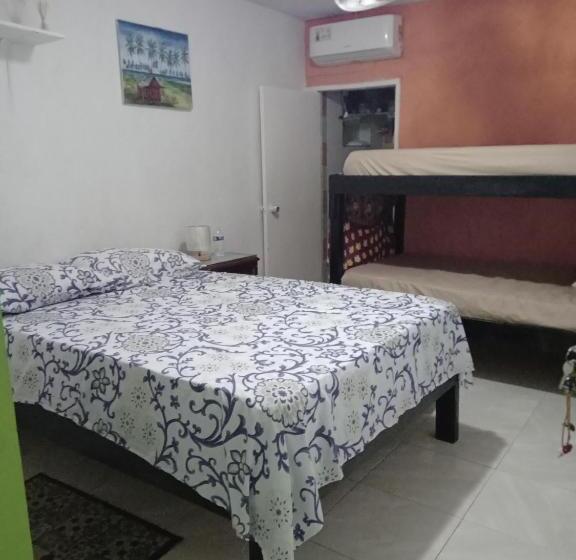 ペンション Posada Green Sea San Luis