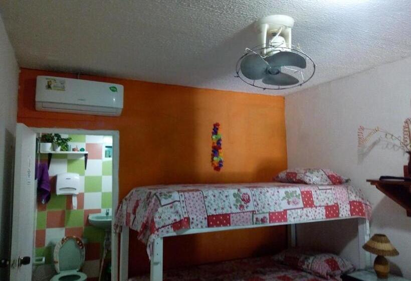 ペンション Posada Green Sea San Luis