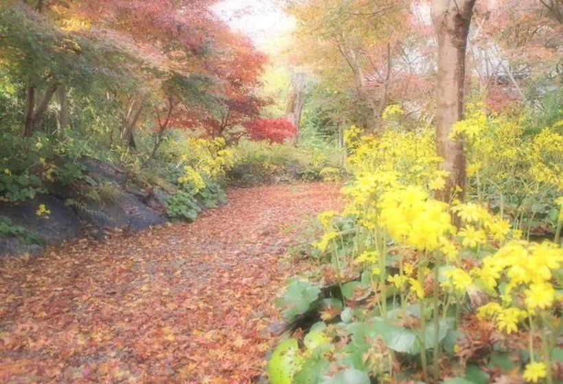 پانسیون Guest House Third Place