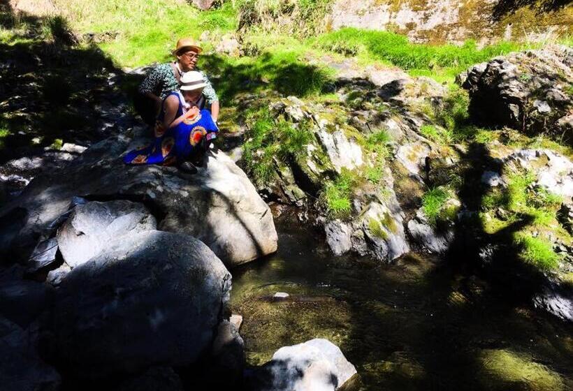 膳宿费 Guesthouse Fuki Juku