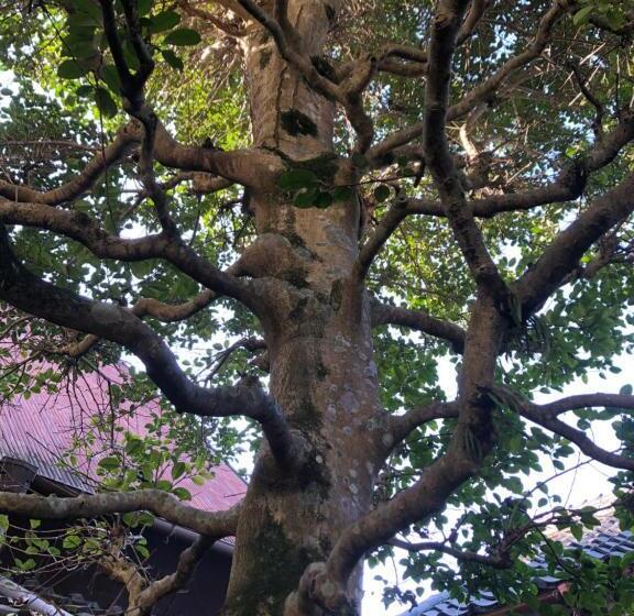 펜션 古民家の宿勝右衛門御所