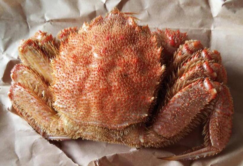 膳宿费 Minshuku Kaikazari Kunnui