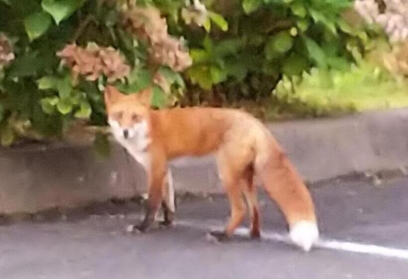 膳宿费 Minshuku Kaikazari Kunnui