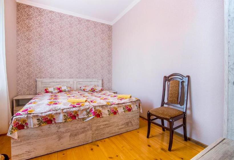 پانسیون Tomas Kokhi