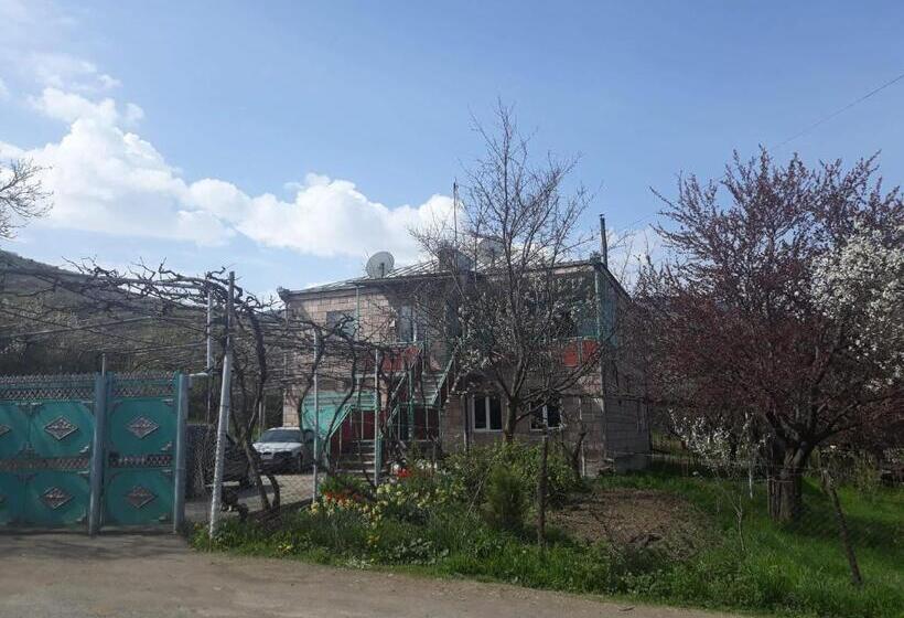 پانسیون Tomas Kokhi