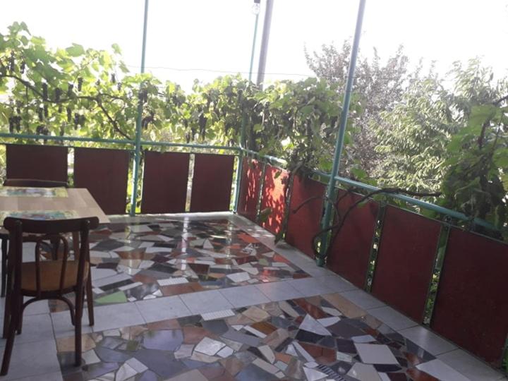 پانسیون Tomas Kokhi