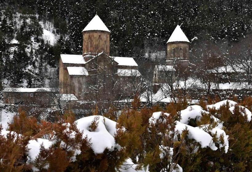 پانسیون Tomas Kokhi