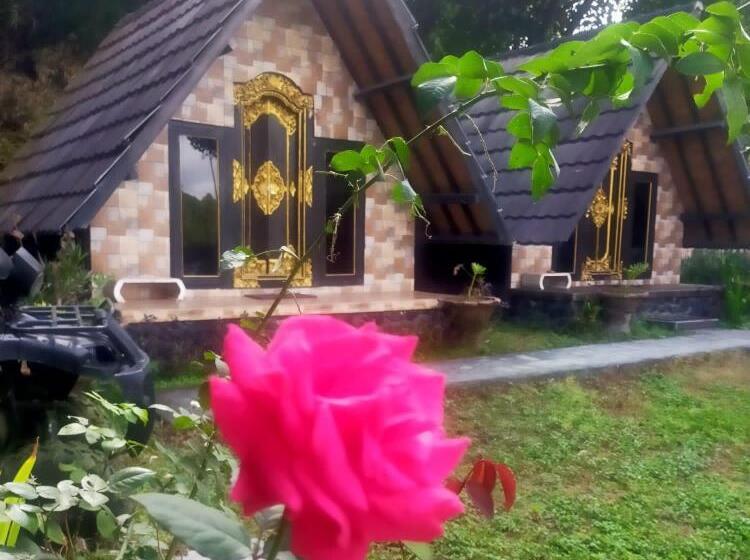 פנסיון Zelobi Venture