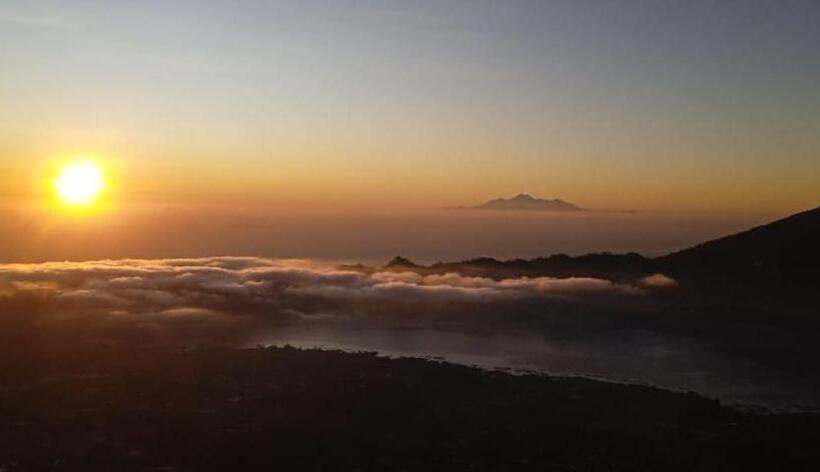 פנסיון Zelobi Venture