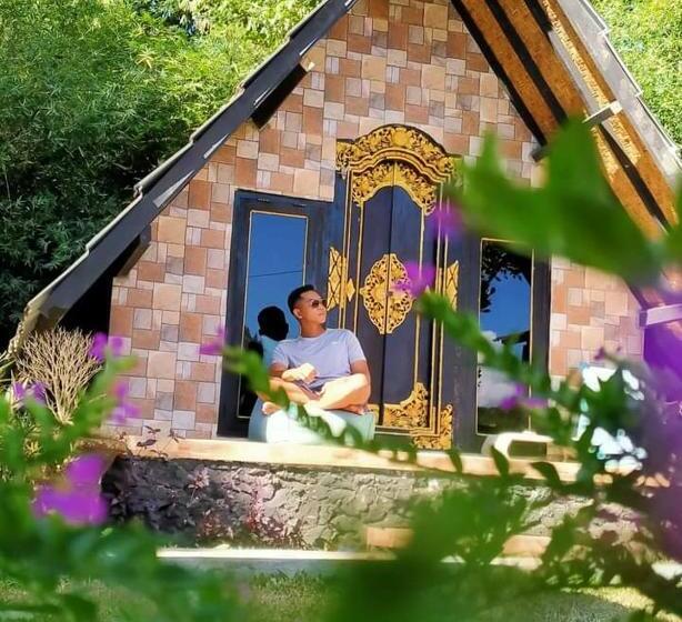 פנסיון Zelobi Venture