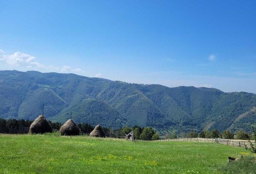 ペンション Mateo Transalpina